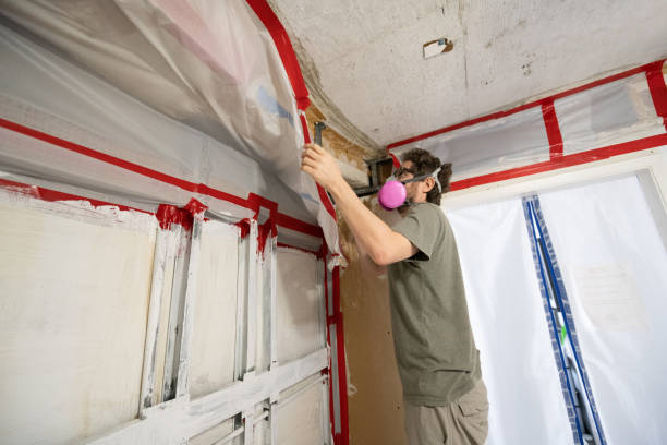 Best Basement Mold Removal  in Strathmore, NJ