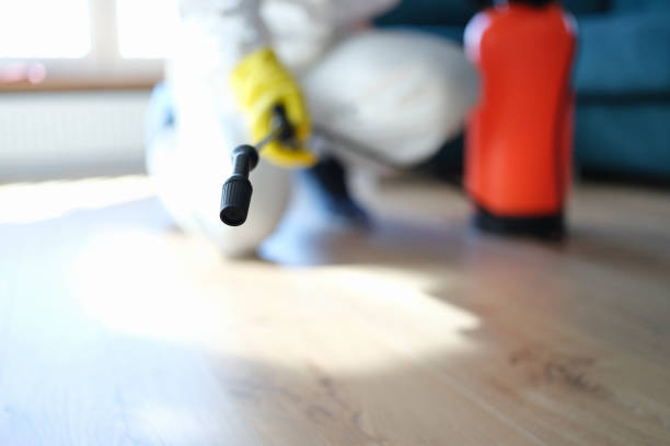Best Mold Documentation for Insurance Claims  in Strathmore, NJ