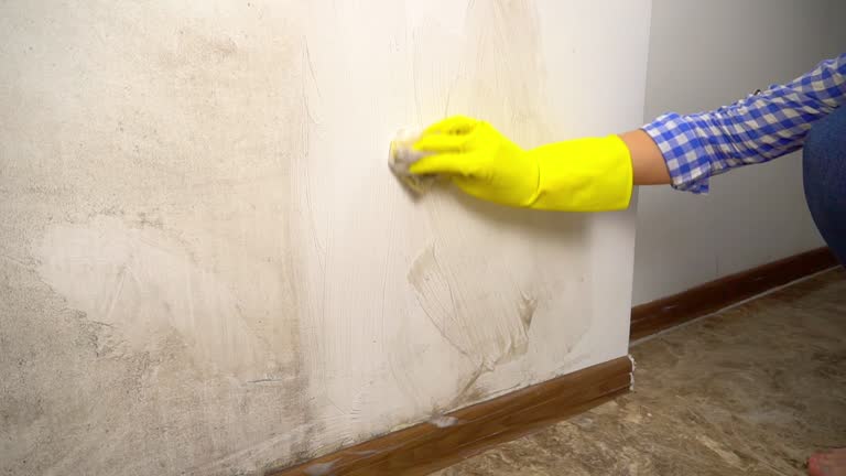 Best Dehumidification Services  in Strathmore, NJ