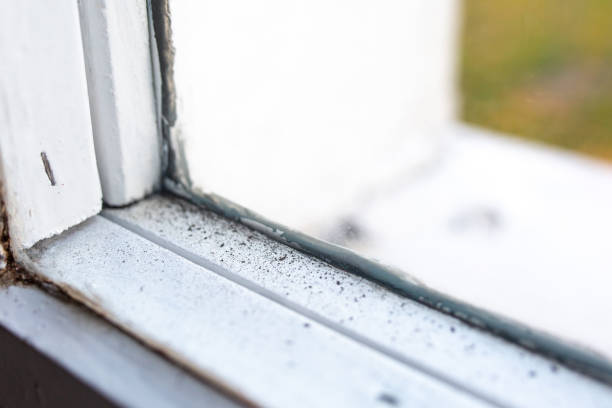 Best Comprehensive Air Testing for Mold Contaminants  in Strathmore, NJ