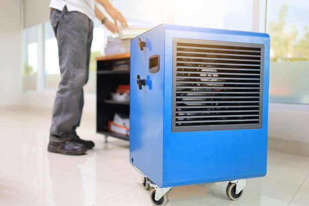 Mold Odor Removal Services in Strathmore, NJ
