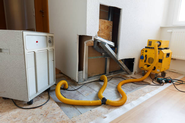 Biohazard Mold Removal in Strathmore, NJ