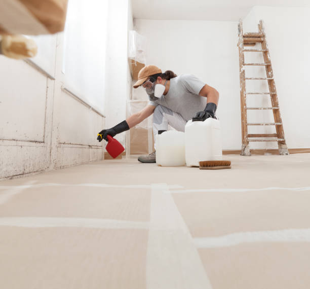 Best HVAC Mold Inspection and Cleaning  in Strathmore, NJ