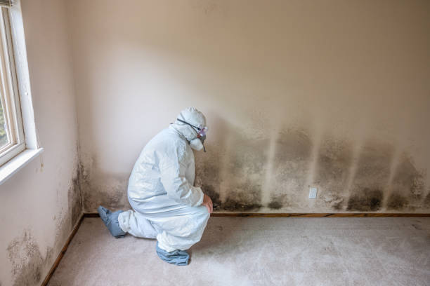 Best Industrial Mold Remediation  in Strathmore, NJ