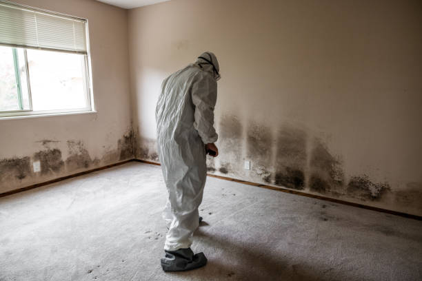 Best Asbestos and Lead Testing During Mold Inspection  in Strathmore, NJ